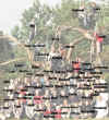 0643_27Ltxt.jpg (52280 byte)