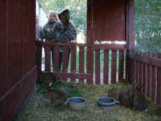 DSCF1129.jpg (2103731 byte)