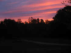 fest2007 10 038.JPG (1793474 byte)
