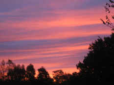 fest2007 10 041.JPG (2022652 byte)