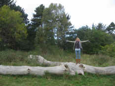 fest2007 10 079.JPG (3439603 byte)
