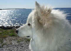 2007_04290032b.jpg (248694 byte)